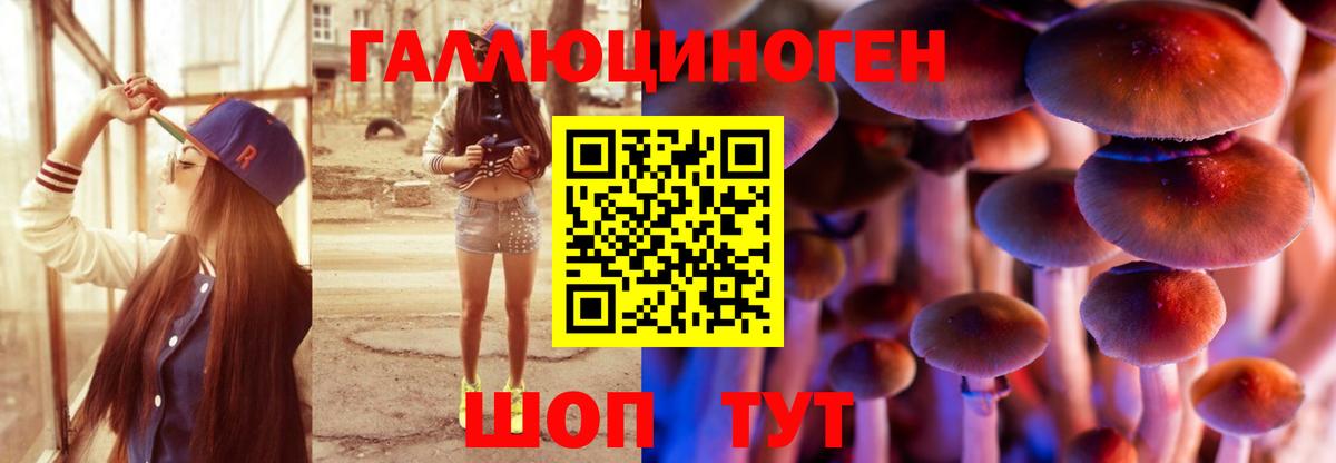 Галлюциногенные грибы GOLDEN TEACHER Михайловск